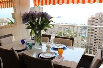 The excellent apartment in Monaco