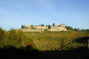 Виноградник в Тоскане