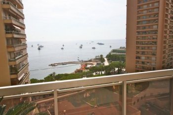 The great apartment in Monaco