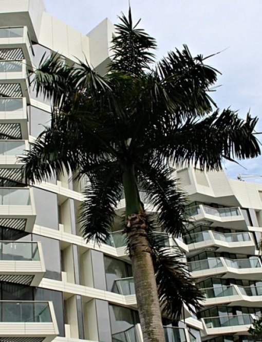 Amazing apartments in Singapore