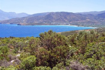 Участок земли на берегу моря на Крите