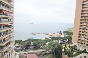 Просторная квартира в Монако