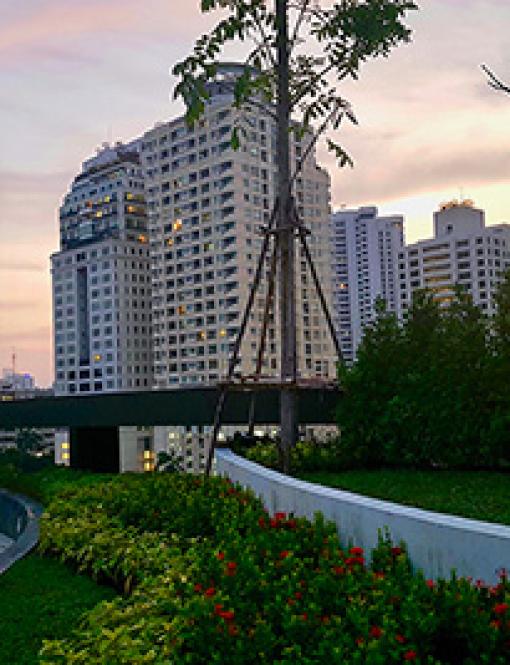 Luxurious apartments in Bangkok