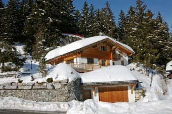 The fine chalet in the Crane - Montana