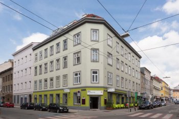 The wonderful apartment in Vienna