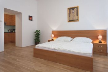 The comfortable apartment in Vienna