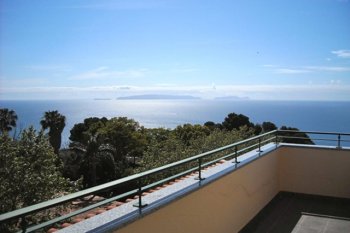 Уютные апартаменты на острове Мадейра, Португалия