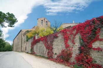 The ancient house in Mark
