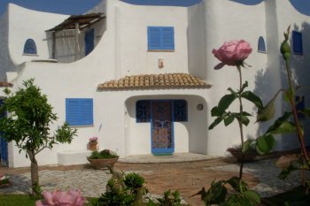 The spacious house in Sabaudia