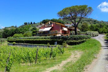 The wonderful apartment in Liguria